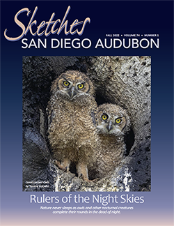 Audubon Sketches Magazine Fall 2022 Issue