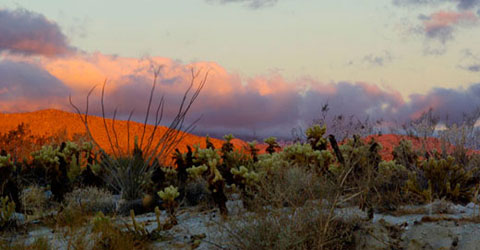 Photo of morning light on North Pinyon Mountains at Mescal Bajada