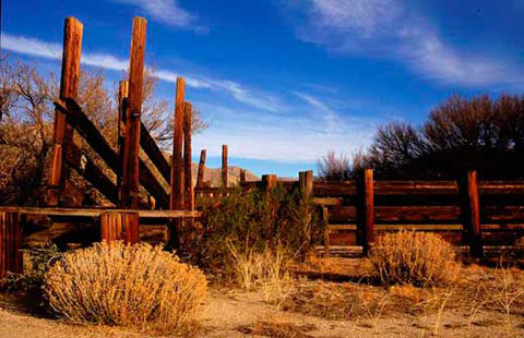 Color photo of a loading platform for livestock, Sentenac Ranch near Scissors Crossing