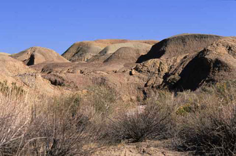 Photo of the badlands surrounding Camels Head Wash