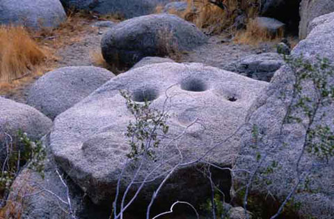 Photo of morteros in a large granite boulder