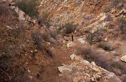 Photo of the California Riding & Hiking Trail as it descends into Plum Canyon