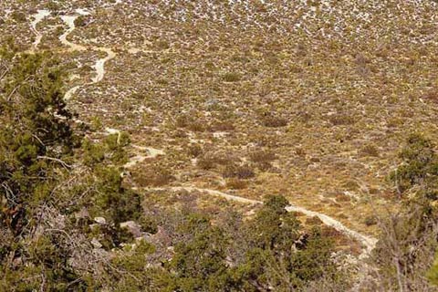 Photo of the Pinyon Mountain Valley looking down from Whale Peak