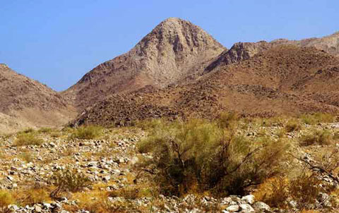 Photo of the dry, rocky terrain of the area surrounding Travertine Palms Wash