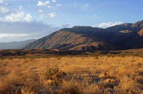 Photo of the ridge into the Santa Rosa Mountains leading to Villager and Rabbit peaks