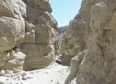 sandstone canyon view fred melgert