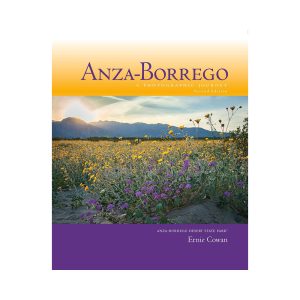 Anza-Borrego: A Photographic Journey