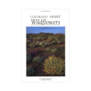 Colorado Desert Wildflowers