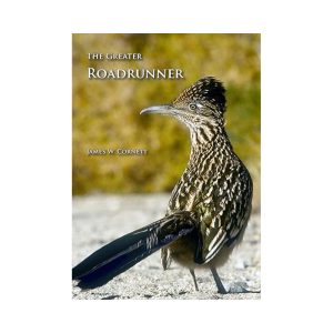 The Greater Roadrunner