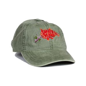 Wildlife Cap: Ocotillo Bloom