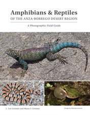 Amphibians & Reptiles of the Anza-Borrego Desert Region