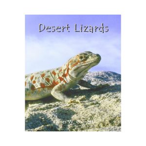 Desert Lizards