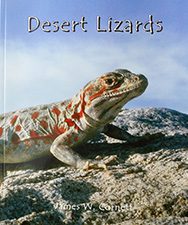 Desert Lizards