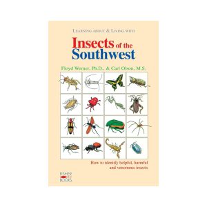Insects of the Southwest