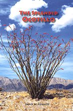 The Splendid Ocotillo