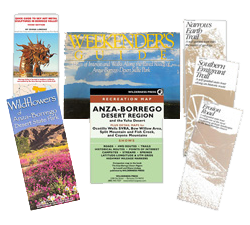 Explore Along Anza-Borrego’s Paved Roads Package