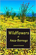Wildflowers of Anza-Borrego