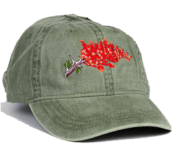 Wildlife Cap: Ocotillo Bloom
