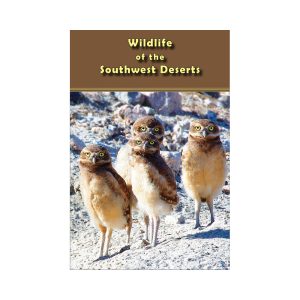 Wildlife of the Southwest Deserts