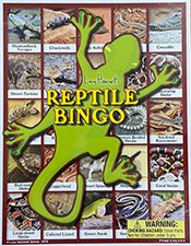 Reptile Bingo