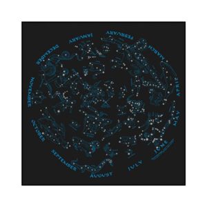 Night Sky Bandana