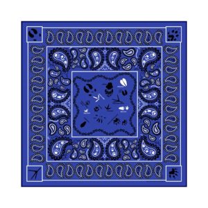 Paisley Tracks Bandana