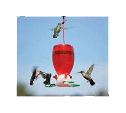 Big Red Hummingbird Feeder 10oz