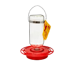 Glass Hummingbird Feeder 16oz