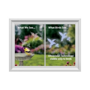 Hummingbird Decals 4-pk