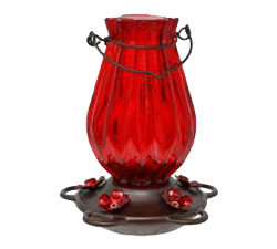 Ruby Lantern Hummingbird Feeder 21oz