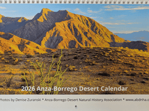 2026 Anza-Borrego Desert Wall Calendar