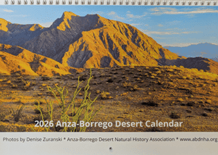 Vast Anza-Borrego desert landscape with mountains, featuring native flora and rugged terrain.