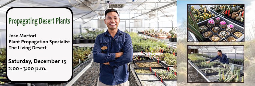 251213_Propagating Plants