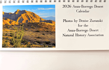 Vast desert landscape with mountains in the background, showcasing the beauty of the Anza-Borrego Desert.