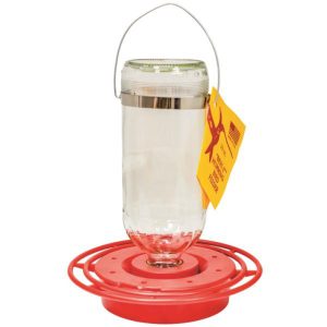 Glass Hummingbird Feeder 16oz