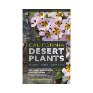 California Desert Plants