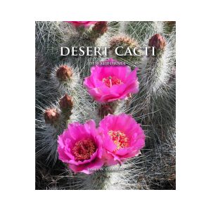 Desert Cacti of California