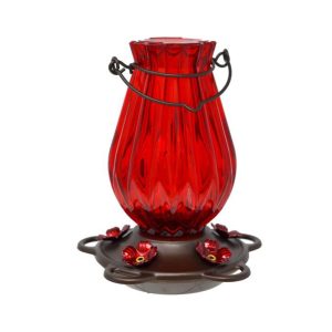 Ruby Lantern Hummingbird Feeder 21oz