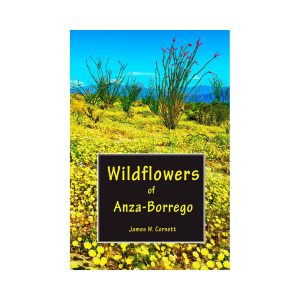 Wildflowers of Anza-Borrego