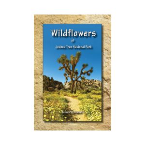 Wildflowers of Joshua Tree National Park