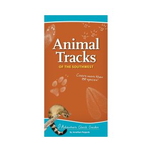 Animal Tracks of the Southwest Quick Guide