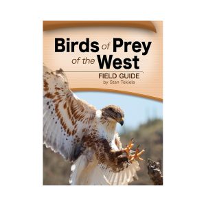 Birds of Prey of the West Field Guide