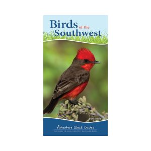 Birds of the Southwest Quick Guide