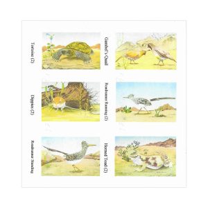 Mockel Notecard Set: Desert Creatures #69