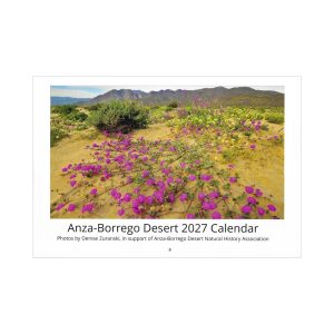 2027 Anza-Borrego Desert Wall Calendar